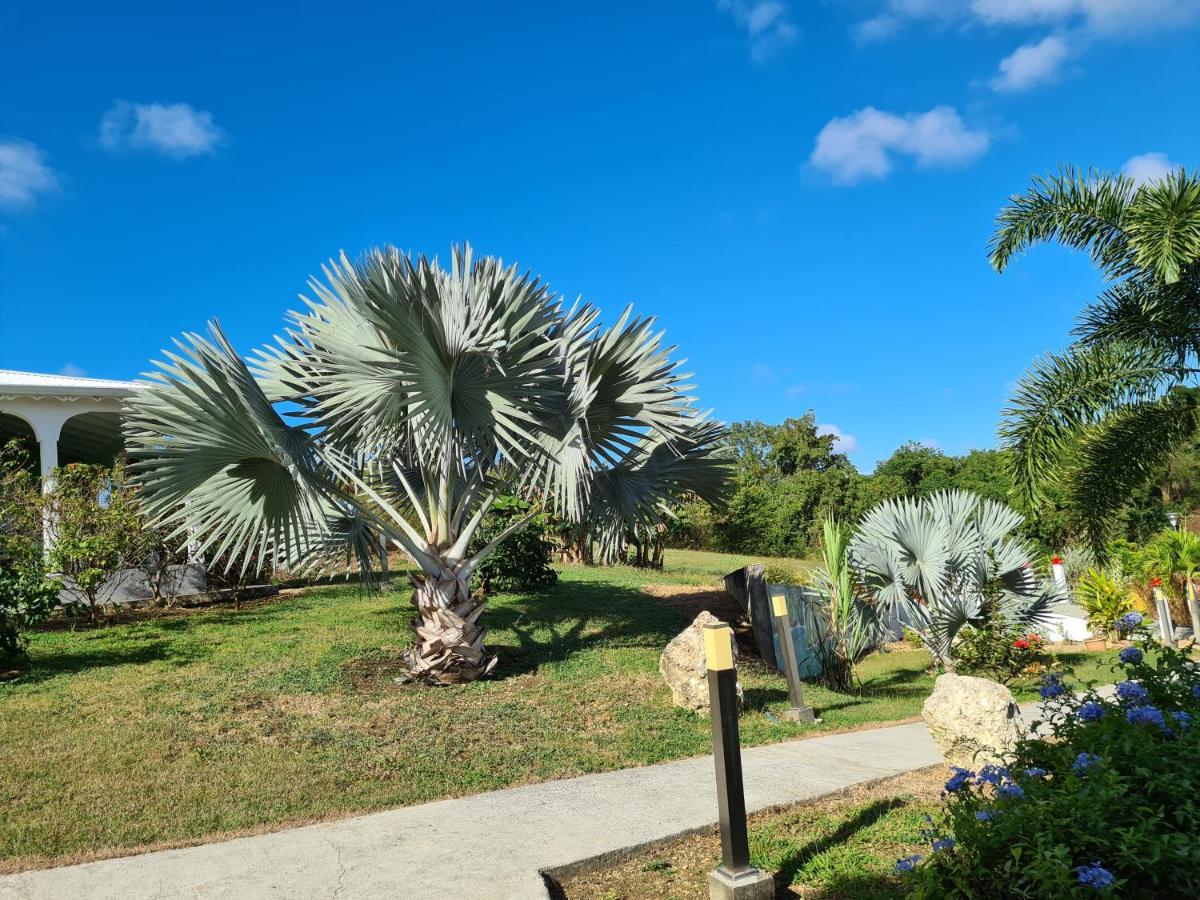 Les Villas De Boisvin Le Moule Kültér fotó