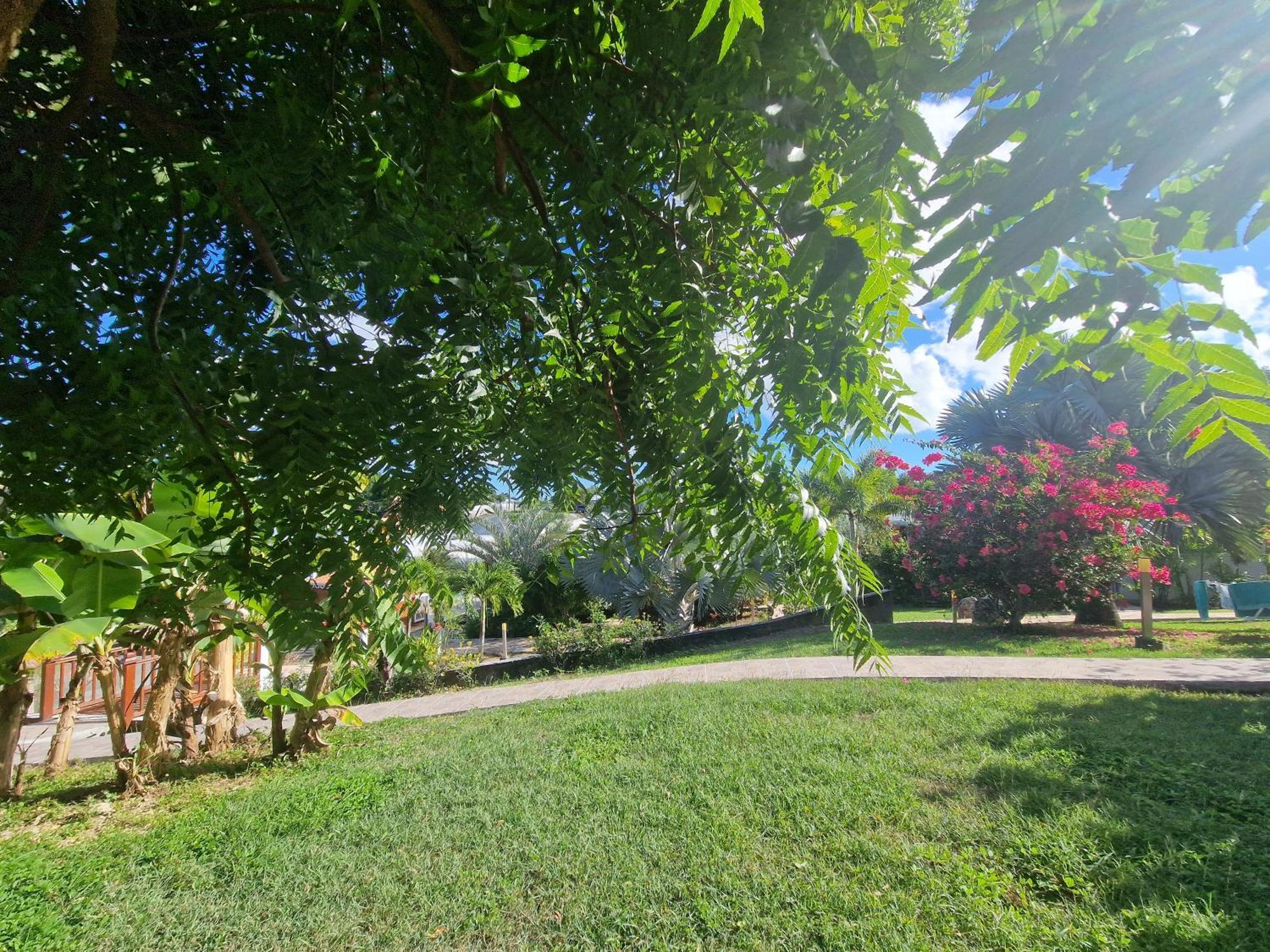 Les Villas De Boisvin Le Moule Kültér fotó